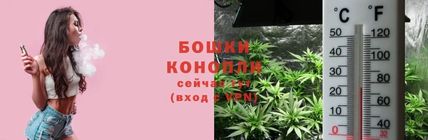 ALPHA PVP Осинники